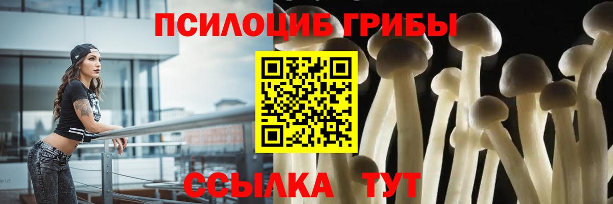 Изобильный  продажа наркотиков  Вход с VPN  Псилоцибиновые грибы Cubensis 